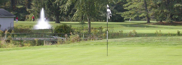 Green golf course with a flag, trees, and a water fountain. Hole 2