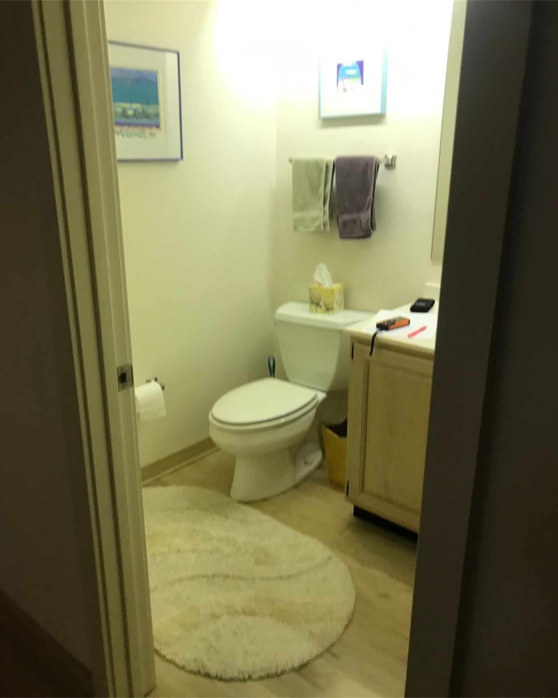 Small bathroom with a toilet, vanity sink, towel rack, and a round cream rug.