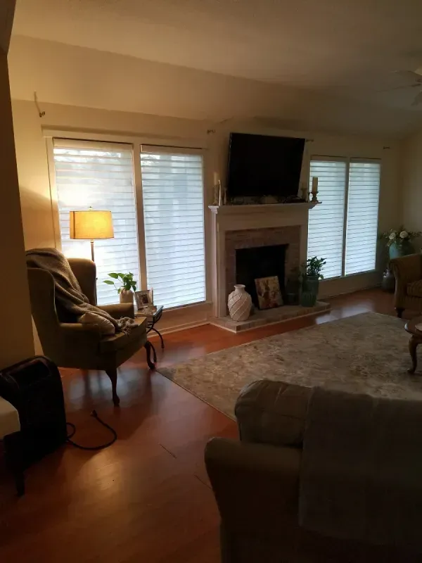 Living room with a fireplace, television, armchair, lamp, and rug on hardwood floors under bright window light.
