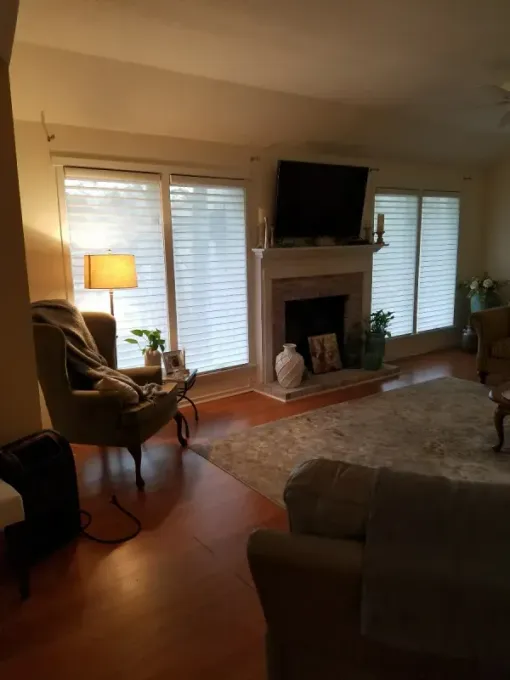 Living room with a fireplace, television, armchair, lamp, and rug on hardwood floors under bright window light.