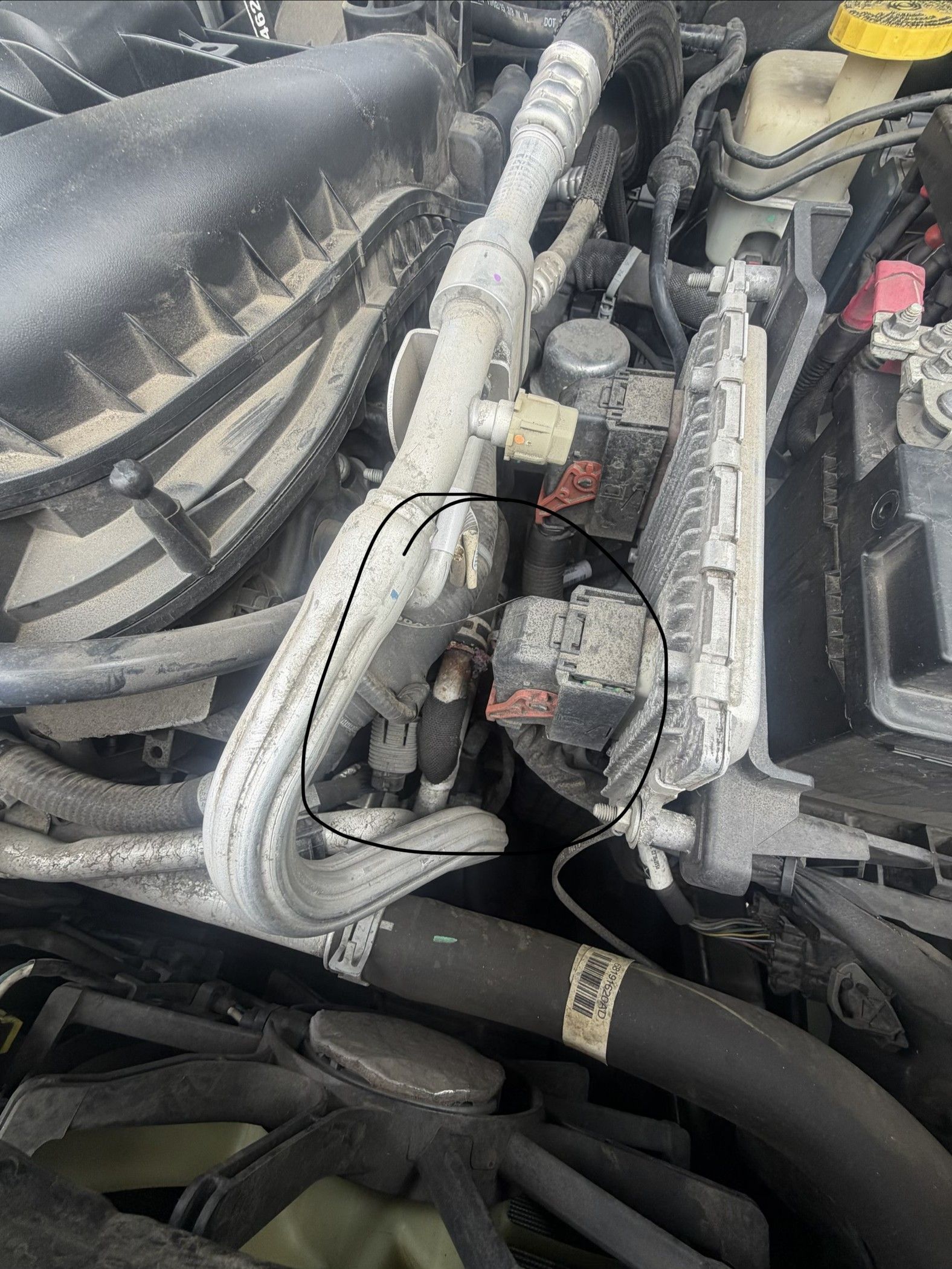 Close-up of an engine bay with wiring harnesses, hoses, and connectors near the battery.
