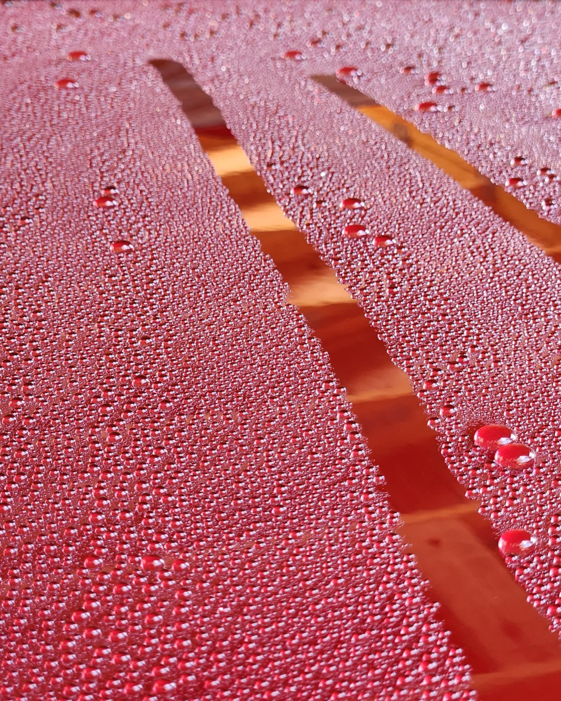 Incredibly tight, perfect water beads on a Radiant Red Tricoat Cadillac Escalade paint corrected and ceramic coated by 6 Speed Mobile Detailing in Southwest Florida.