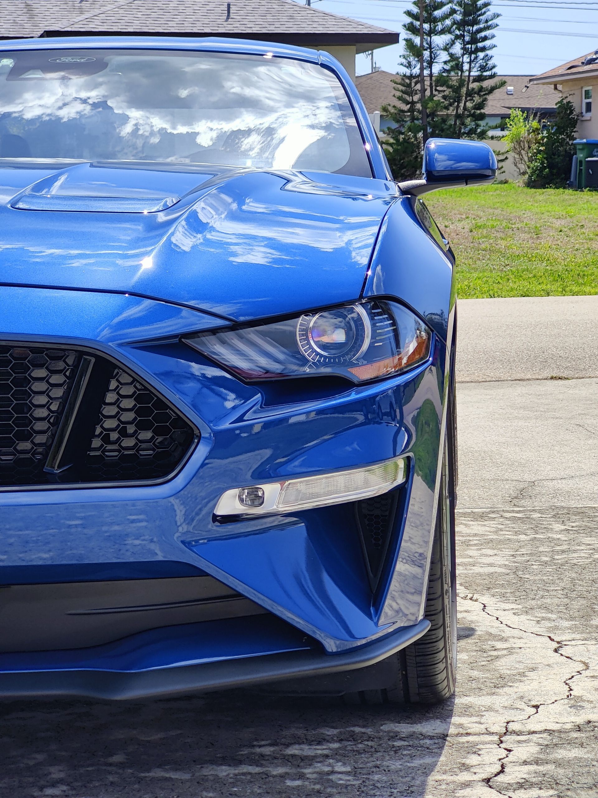 Mustang GT, exterior paint correction and ceramic coating by 6 Speed Mobile Detailing in Southwest Florida