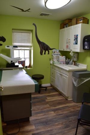 Pediatric exam room with green walls, exam table, cabinets, and dinosaur wall decals