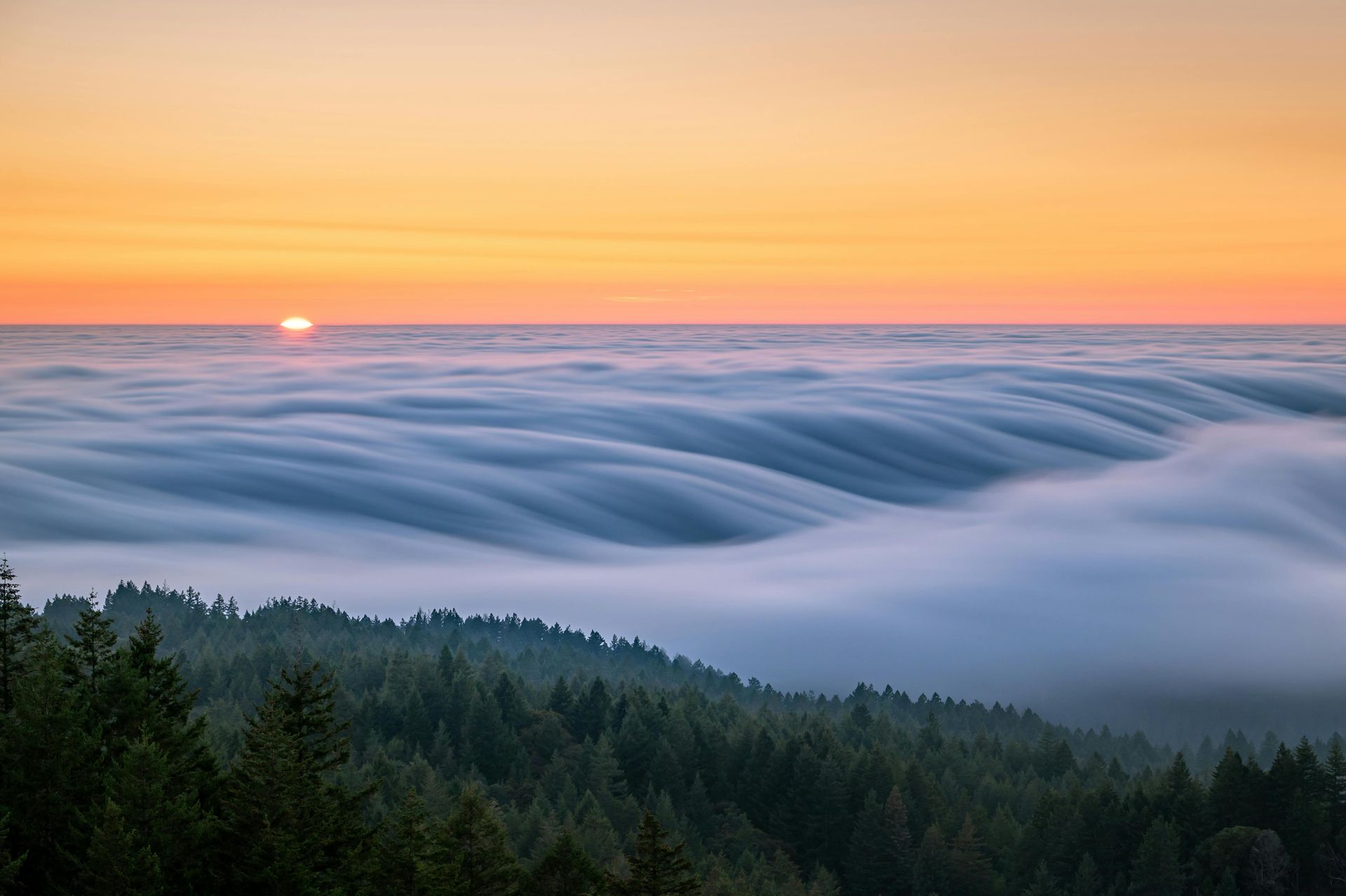 Whether you’re buying your dream home in wine country, listing a cozy cottage near the redwoods, or