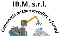 Ibm logo