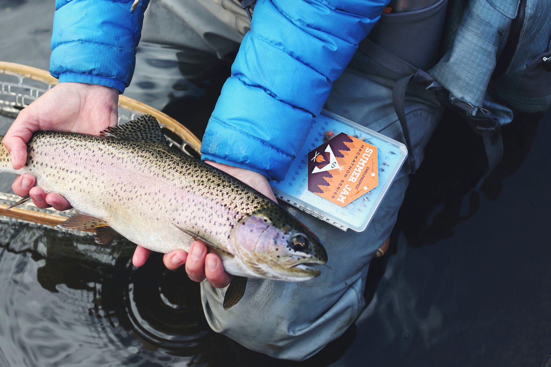 A person is holding a rainbow trout in their hands.