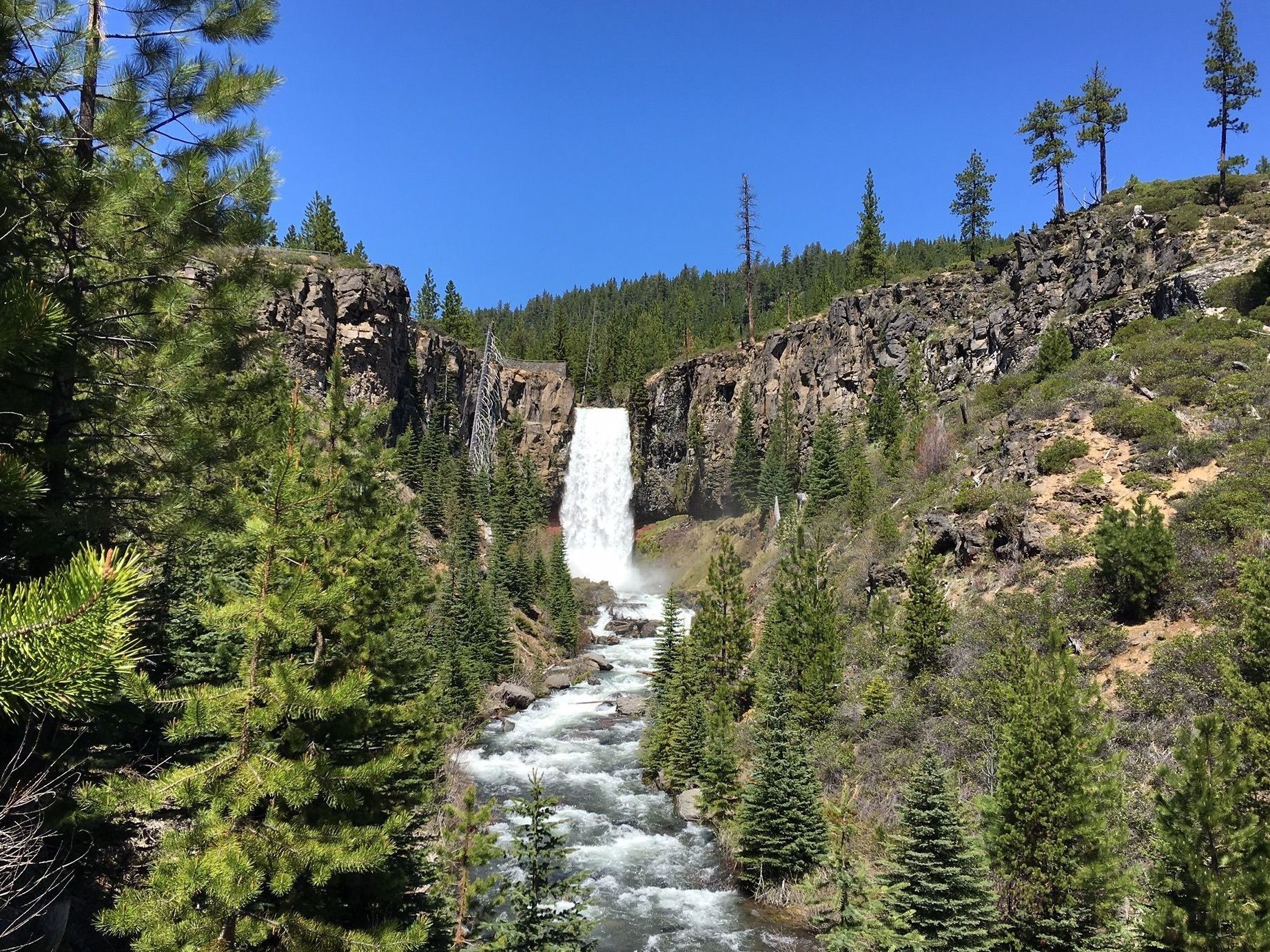 A waterfall is surrounded by trees and rocks in the middle of a forest.