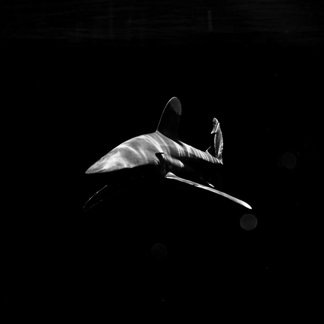 Person in white on a dark stage, posed mid-jump against a black background.