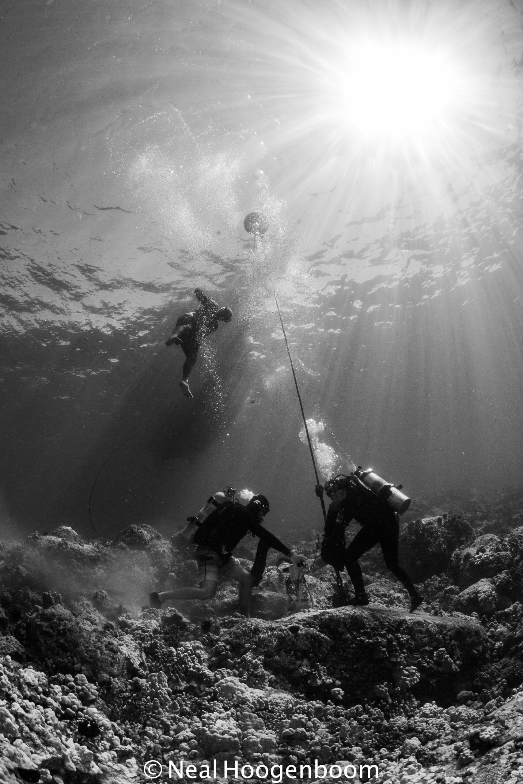 Scuba divers underwater in bright sunbeams over a reef, with bubbles rising and coral below