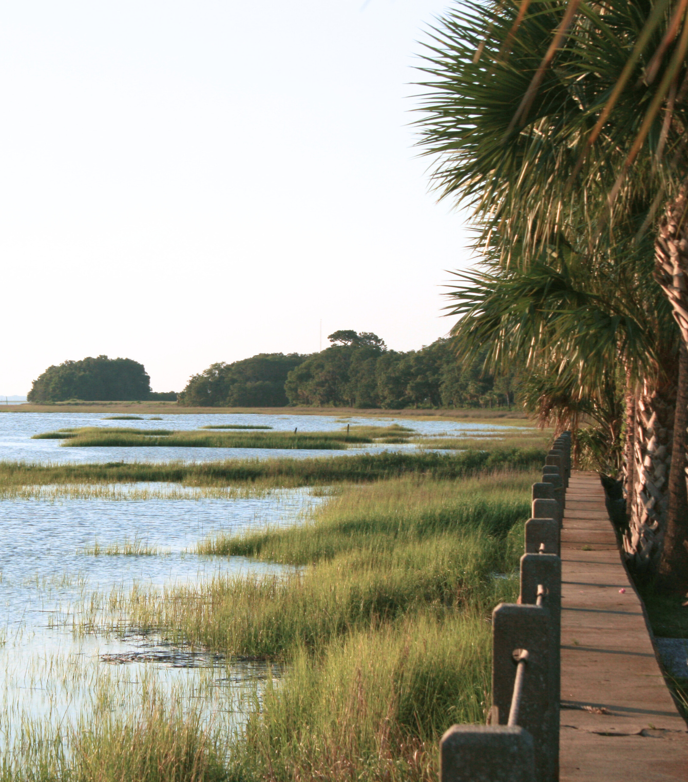 A wooden walkway along a body of water