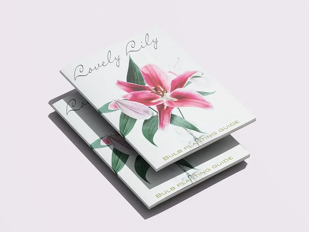 Floral books with pink lily covers on a light background