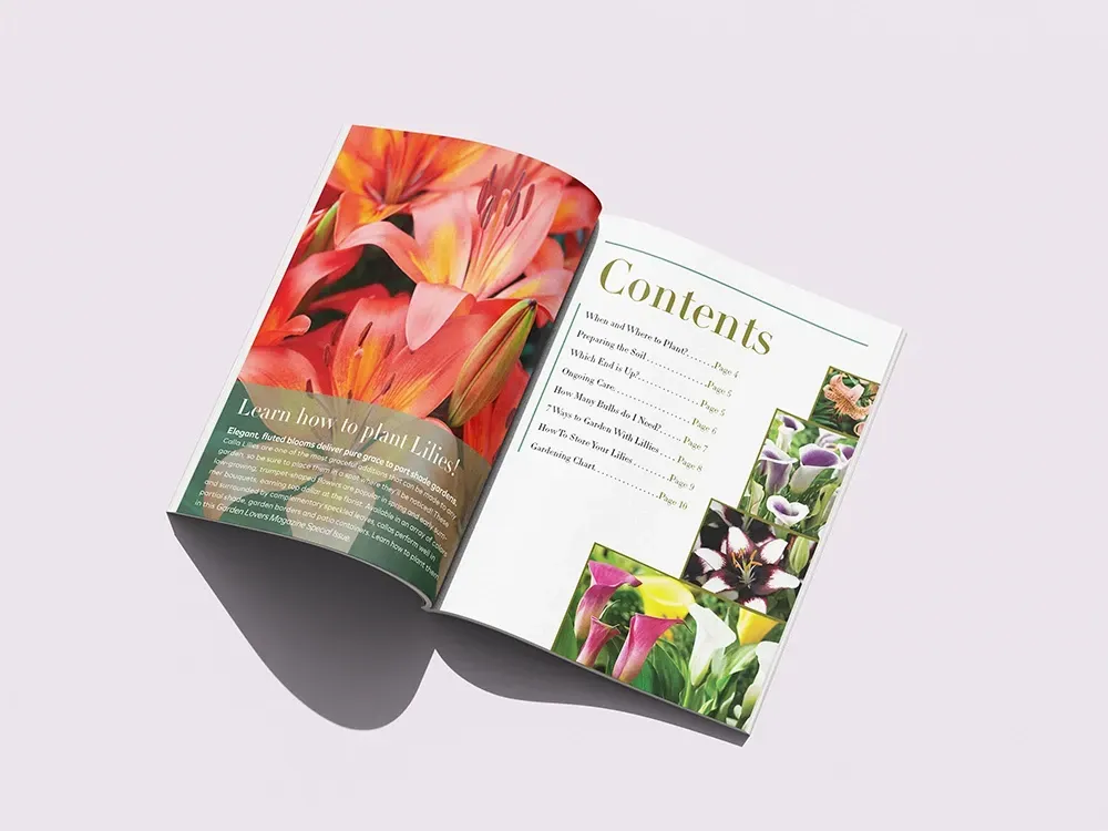 Open magazine with colorful flower photos and a contents page on a light background