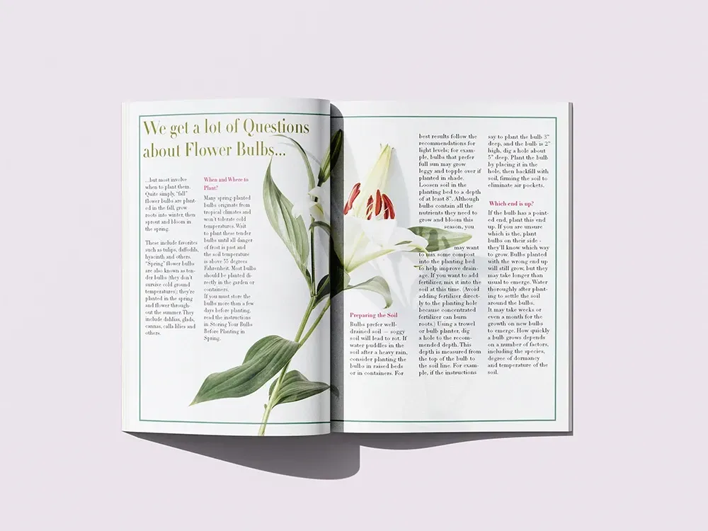 Open book with a botanical illustration of a white lily on a text-filled page spread