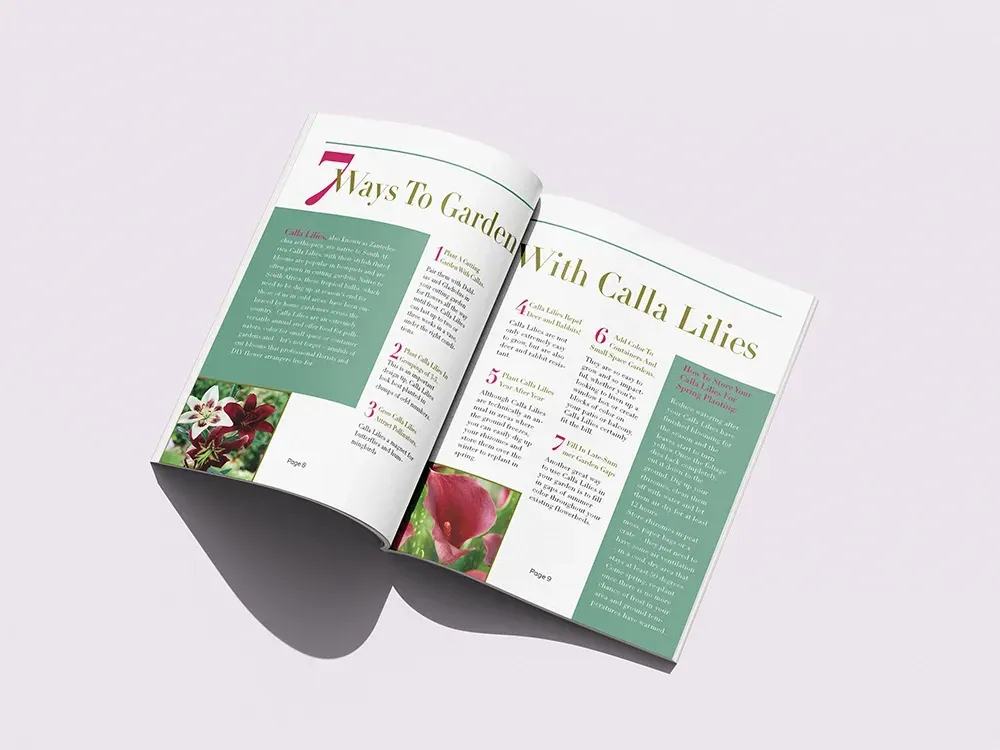 Open magazine spread with green article pages and a colorful photo on a white background