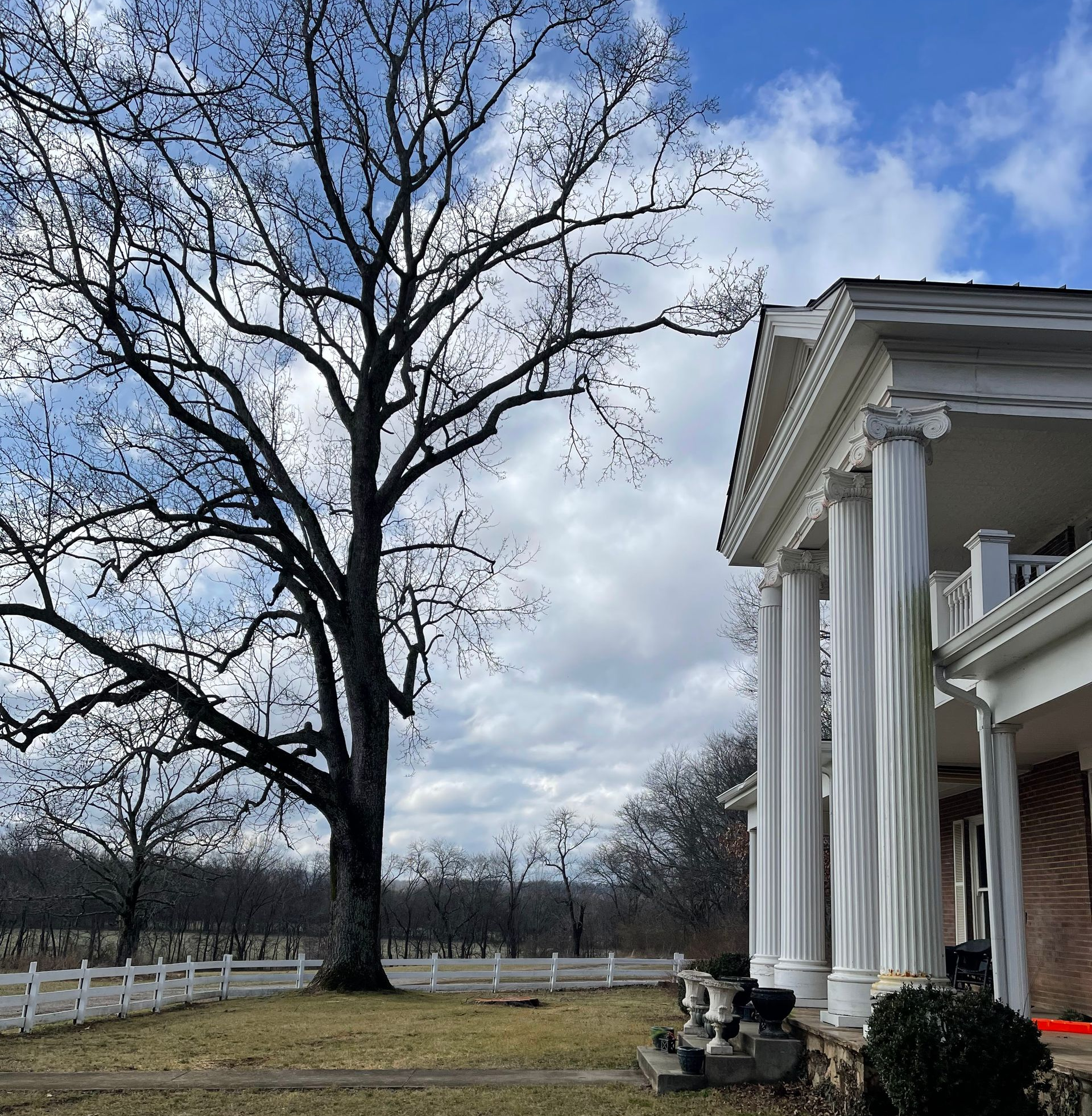 White-columned building with a leafless tree, blue sky, and white picket fence in a grassy yard.