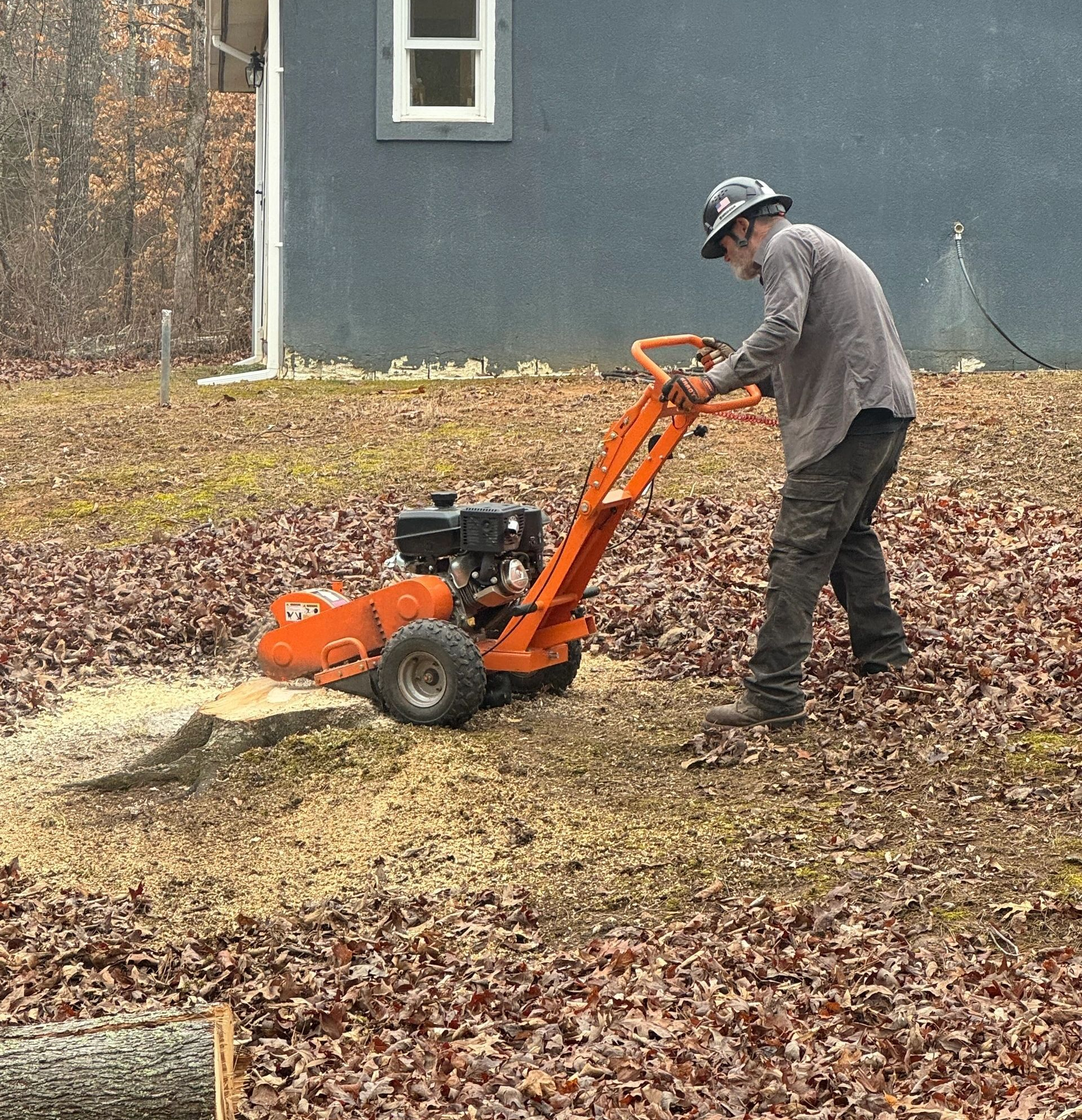 Man operating an orange stump grinder on a stump in a yard, removing wood chips.