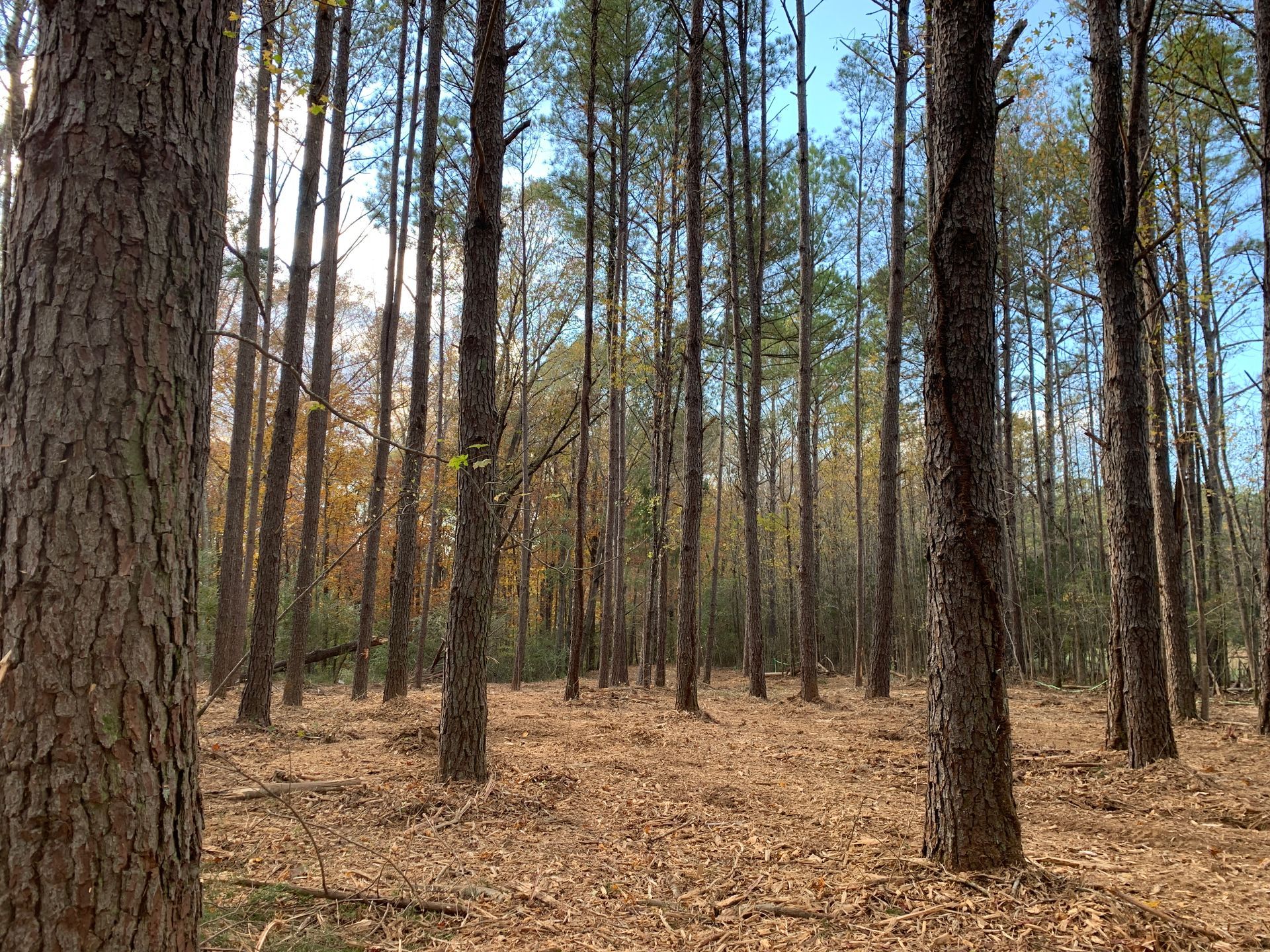 Clean Open Field - Aberdeen, MS - Ground Pounders Clean Open Field - Aberdeen, MS - Ground Pounders