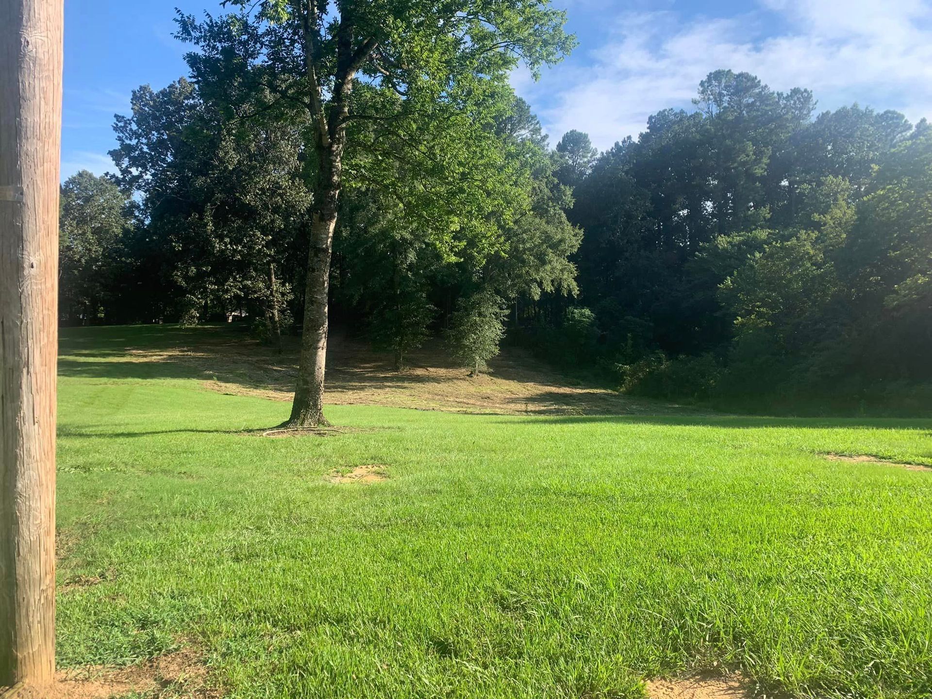 Open Field With Tree In The Middle - Aberdeen, MS - Ground Pounders Open Field With Tree In The Middle - Aberdeen, MS - Ground Pounders