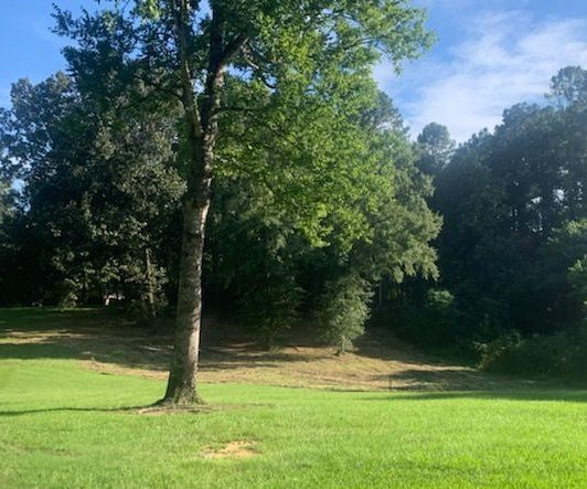 After Clearing The Commercial Land - Aberdeen, MS - Ground Pounders