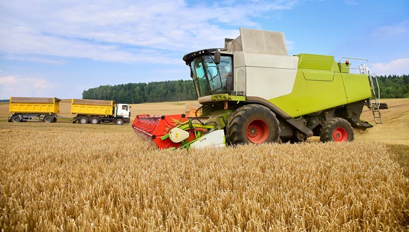 Combine To The Mowing Removes Wheat On The Fields - Aberdeen, MS - Ground Pounders Combine To The Mowing Removes Wheat On The Fields - Aberdeen, MS - Ground Pounders