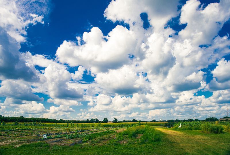 Agricultural Farmland - Aberdeen, MS - Ground Pounders Agricultural Farmland - Aberdeen, MS - Ground Pounders