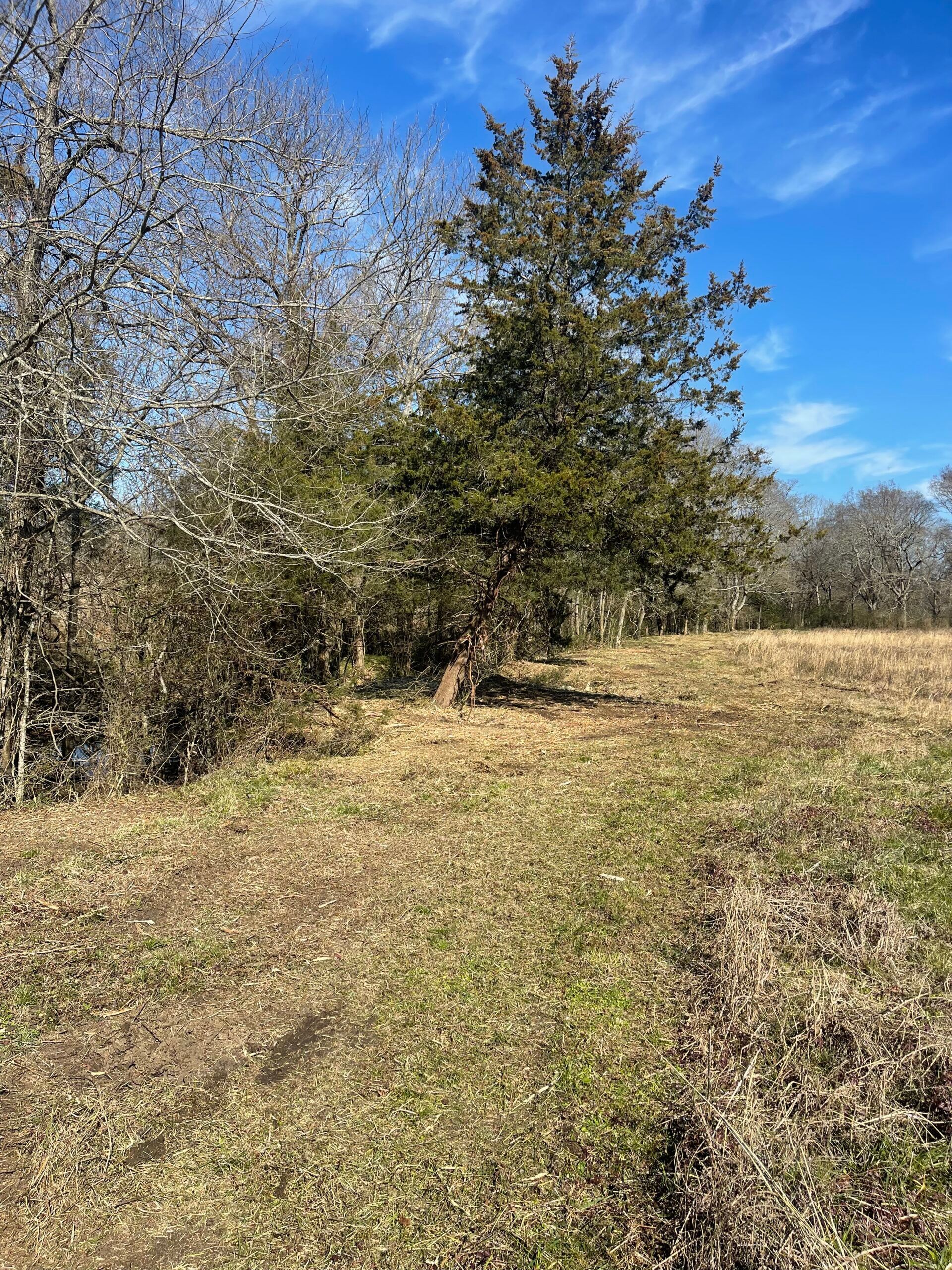 After Clearing Farmland - Aberdeen, MS - Ground Pounders