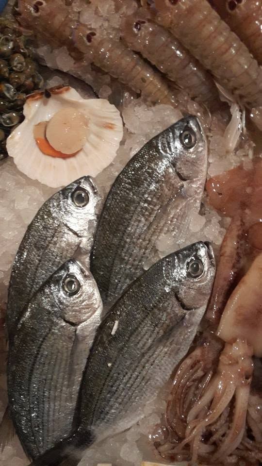 Tre pesci argentati accanto a una conchiglia di capasanta su un letto di frutti di mare.