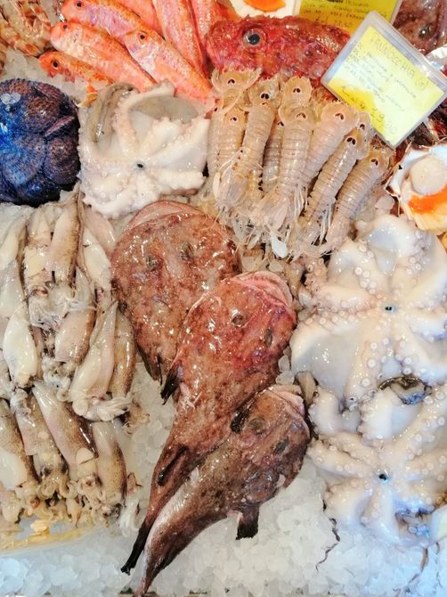 Un assortimento di frutti di mare freschi esposti su ghiaccio tritato al banco di un mercato, tra cui calamari, polpi e pesce.