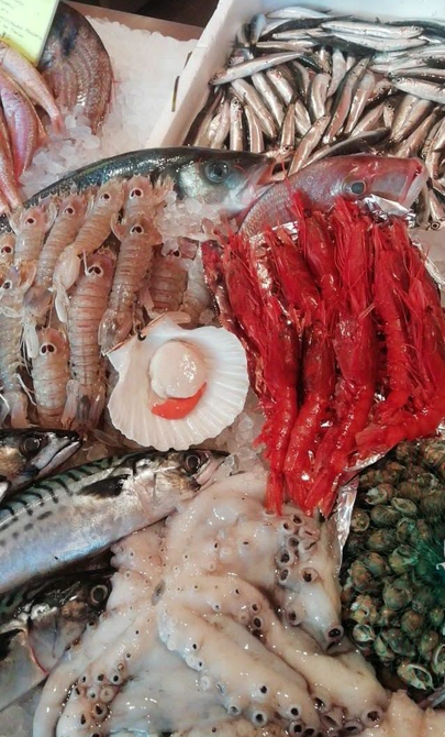 Assortimento di frutti di mare e pesce crudi disposti sul ghiaccio, con zampe di granchio rosso e molluschi al centro.