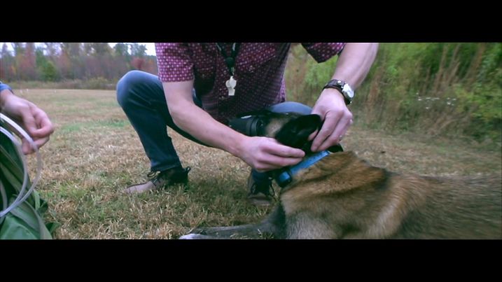 Veterinary technician reviewing field protocols with German Shepherd