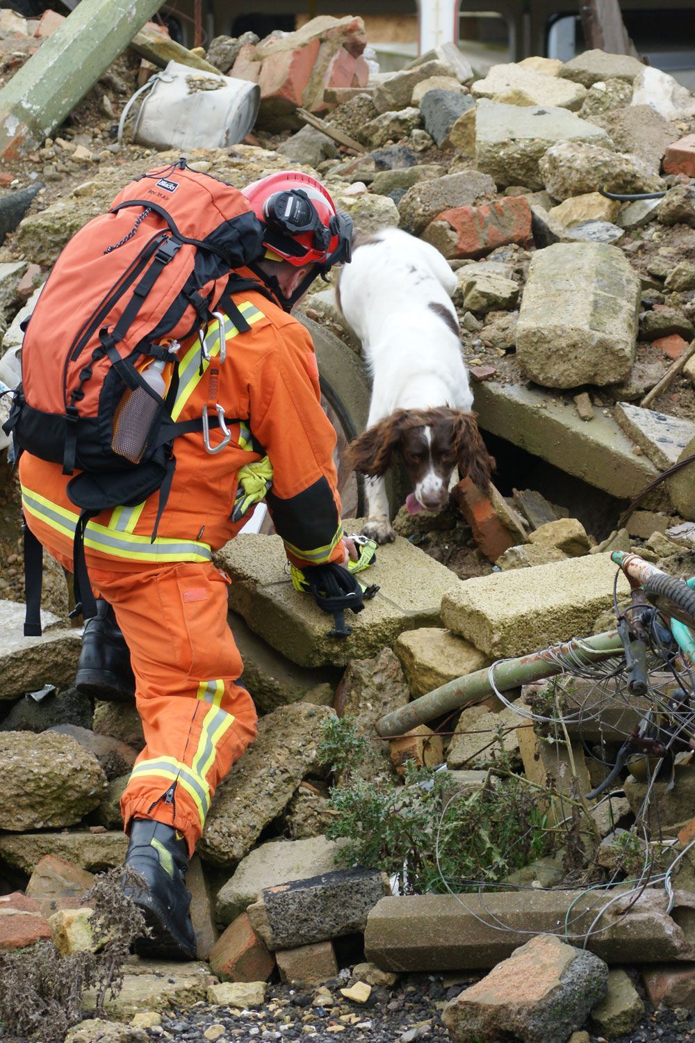 Search and rescue handler applying oxygen muzzle to a working dog in rugged terrain