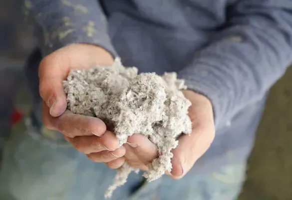 A person is holding a pile of sand in their hands.