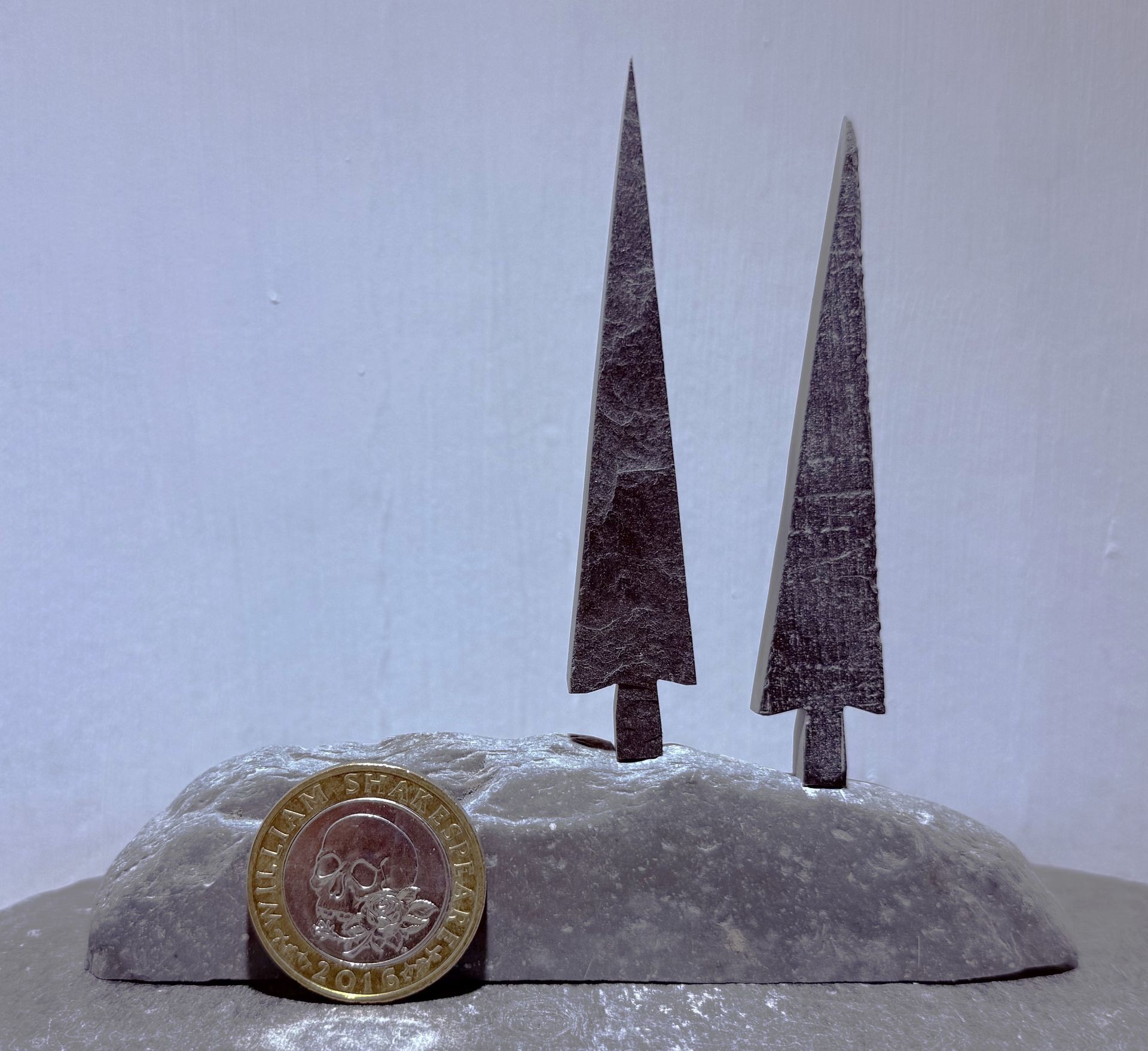 2 Tall Tiny Trees on a hill with £2 coin for scale 2 Tall Tiny Trees on a hill