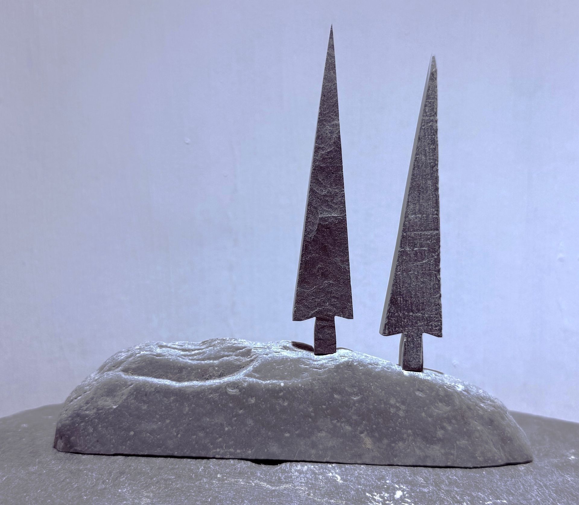 2 Tall Tiny Trees on a hill 2 Tall Tiny Trees on a hill