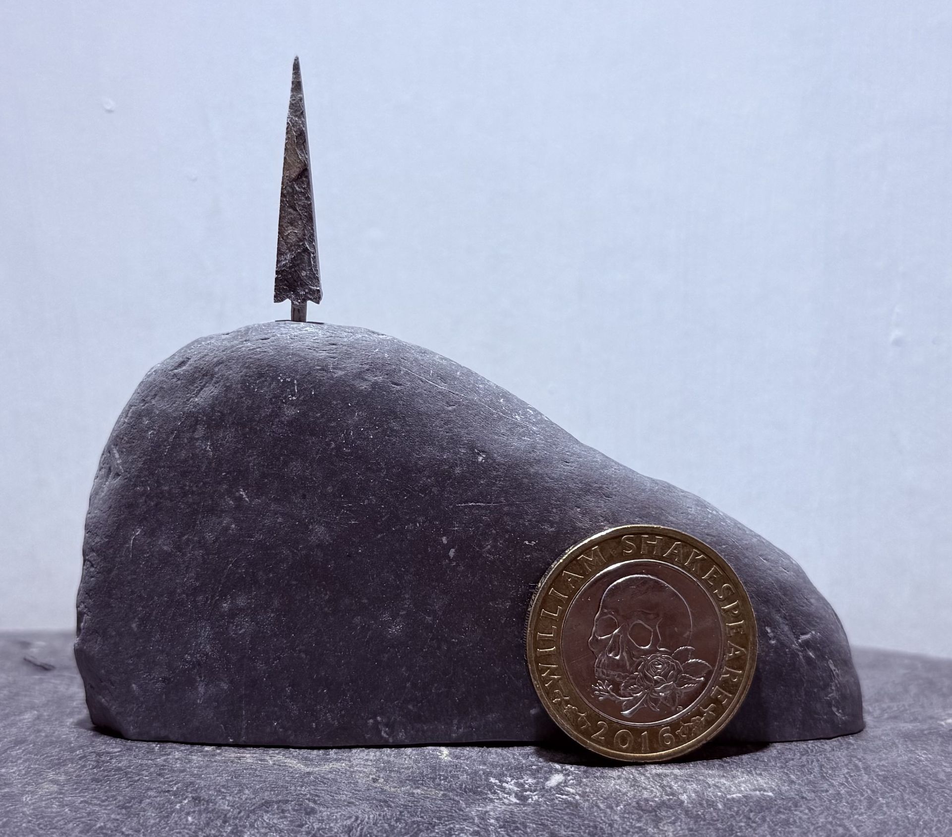 1 Tall Tiny Tree on a hill with £2 coin for scale 1 Tall Tiny Tree on a hill