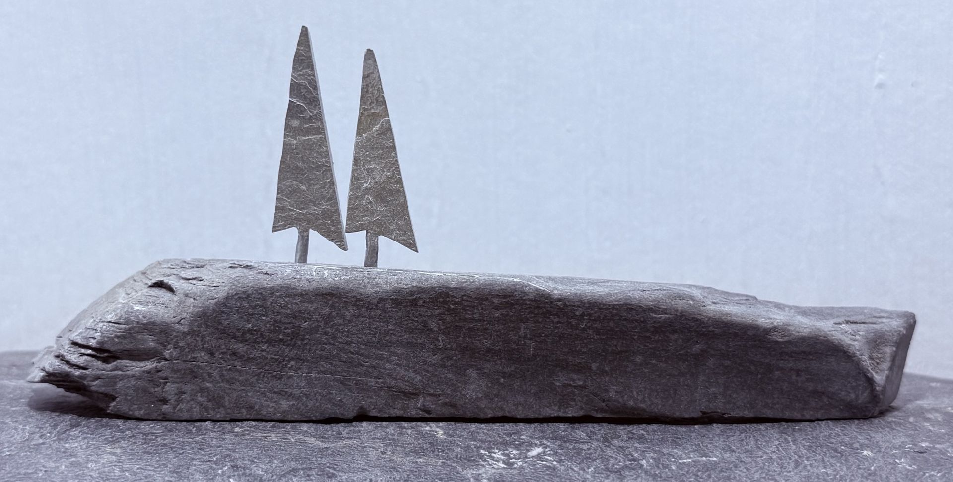 2 Tiny Trees on a Hill 2 Tiny Trees on a Hill