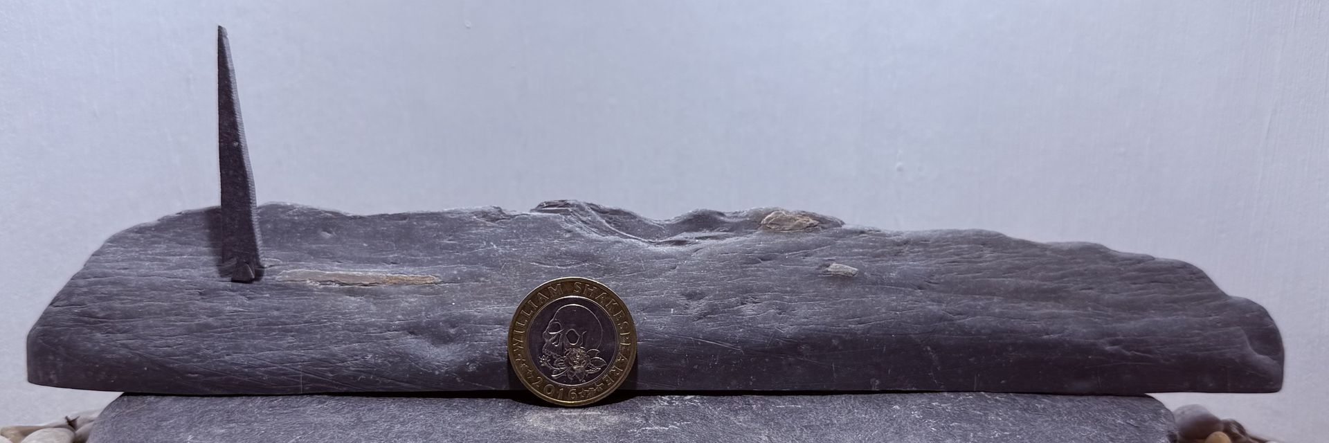 1 Tiny Tree on a Hill with £2 coin for scale 1 Tiny Tree on a Hill