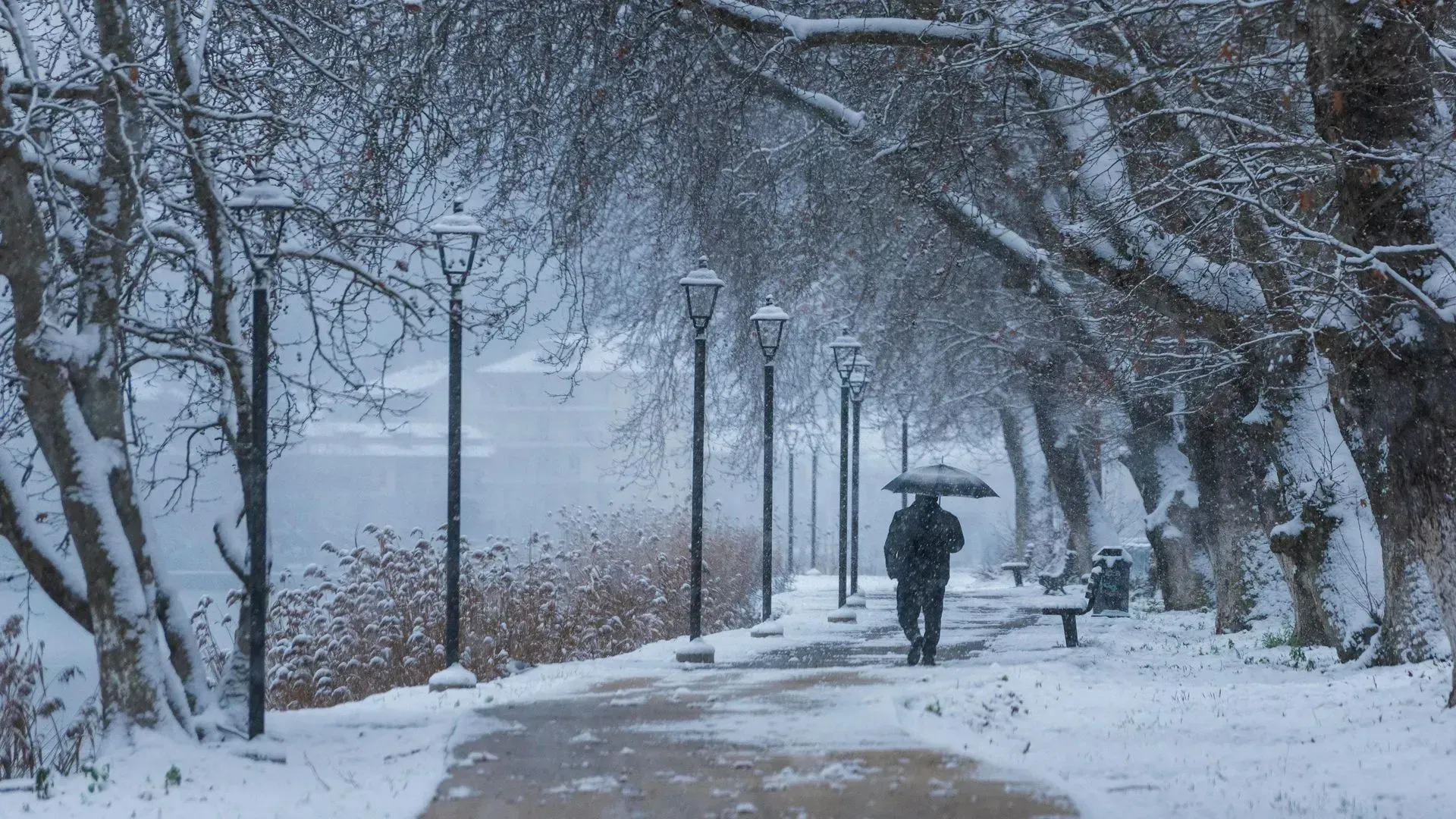 Snowy path along a lake, person with umbrella walks past trees and streetlights.