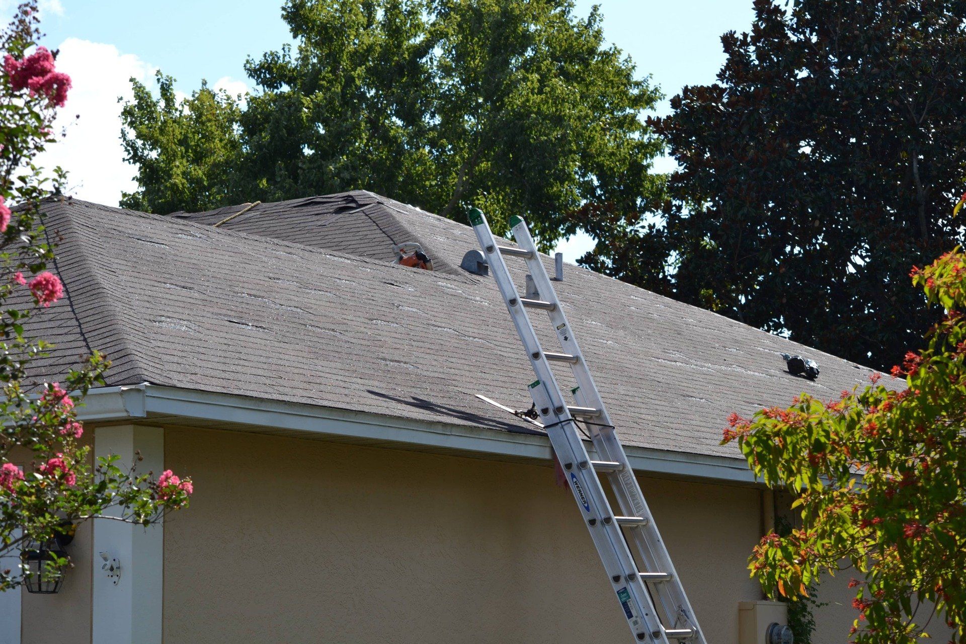 A ladder is sitting on the roof of a house.