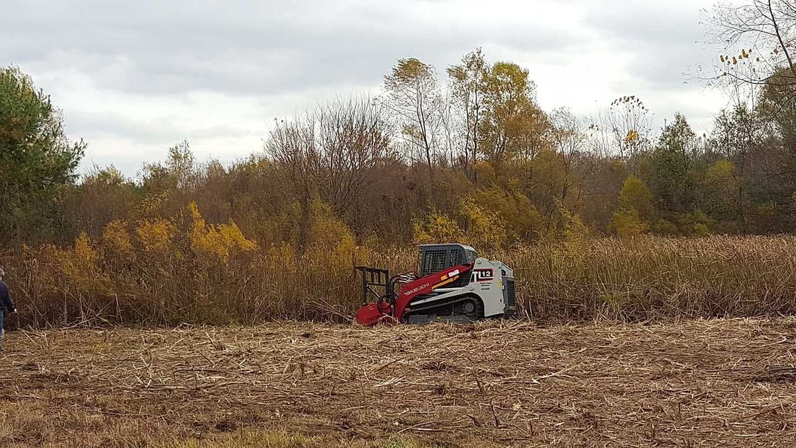Forestry Mulching — Fort Wayne, IN — Fearnow Enterprize Inc.