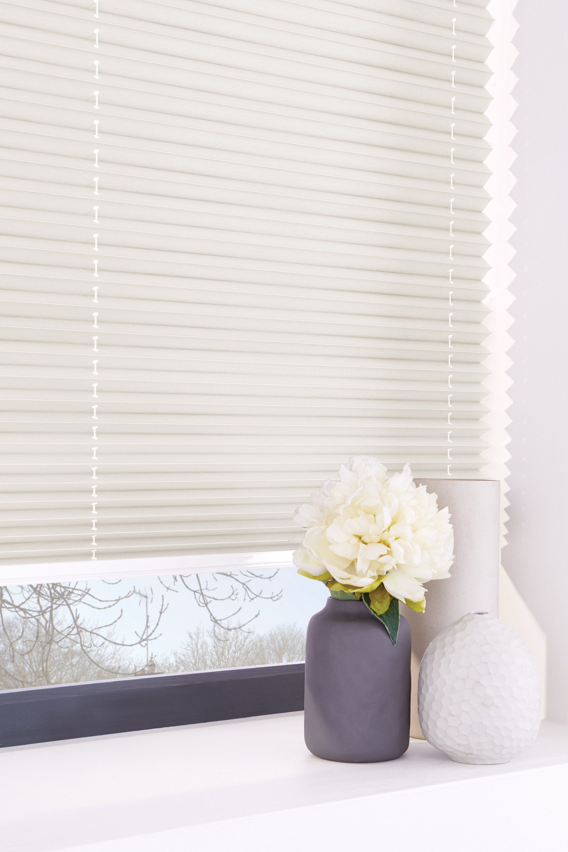 Pleated blinds