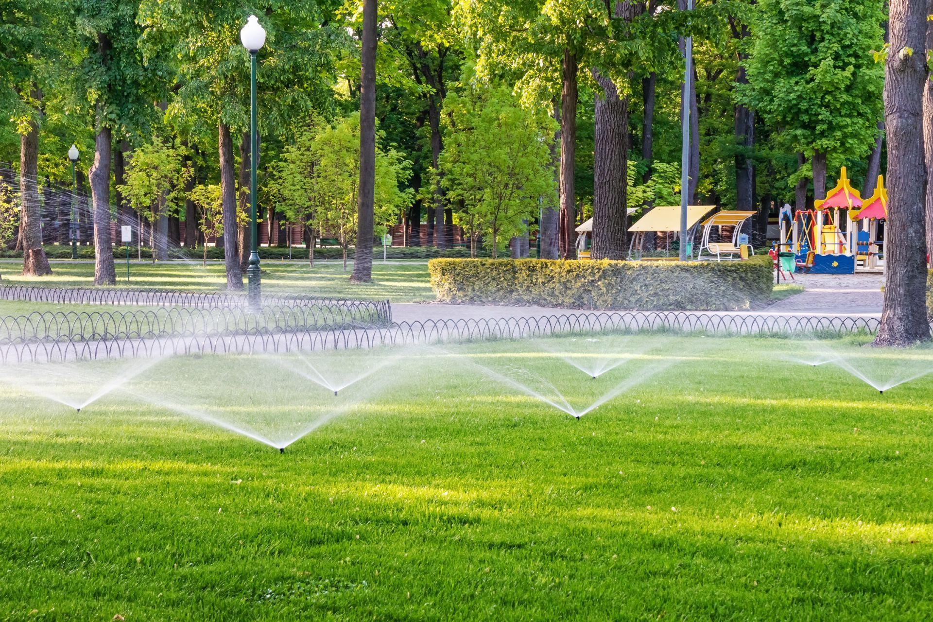 A lawn is being watered in a park with sprinklers.