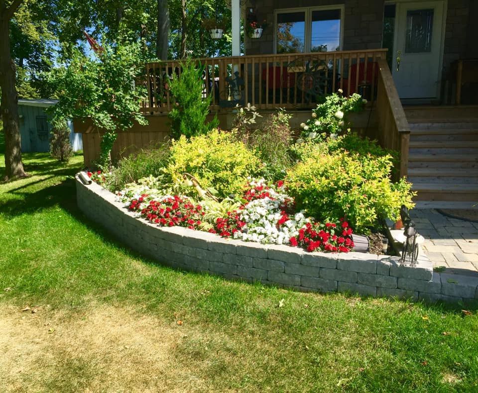 A garden with flowers and plants in front of a house
