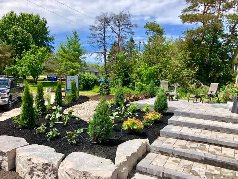 A garden with stairs leading up to a patio and trees.