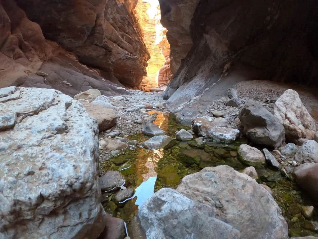 Narrow canyon with water reflecting sunlight; rocky walls.
