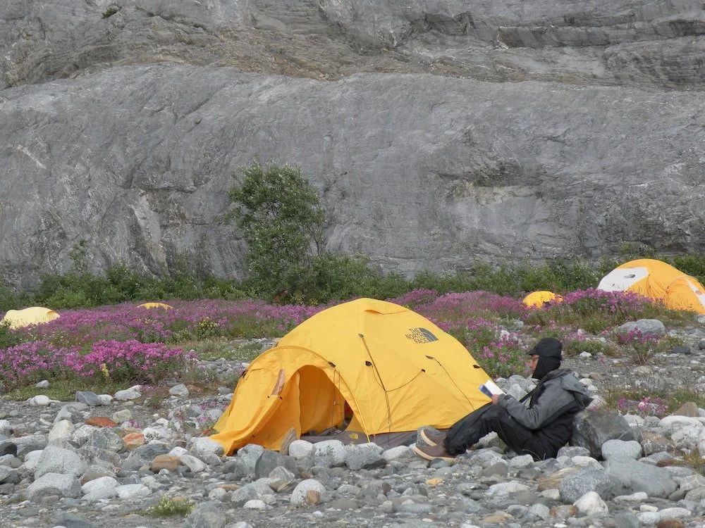 A person in a gray jacket sits near a yellow tent on a rocky landscape with purple flowers.