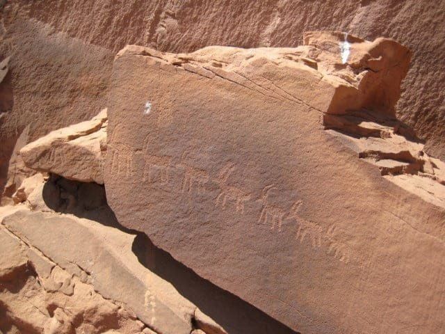 Ancient petroglyphs of animals carved into reddish-brown rock in a desert setting.