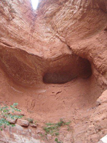 Red rock canyon, looking up into a cave, with textured walls and some greenery.