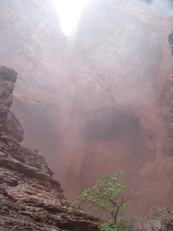 Red rock canyon with dust and a small green tree.